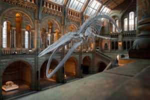 מוזיאונים בלונדון - אלו הם המוזיאונים הנחשבים ביותר ב-2023!