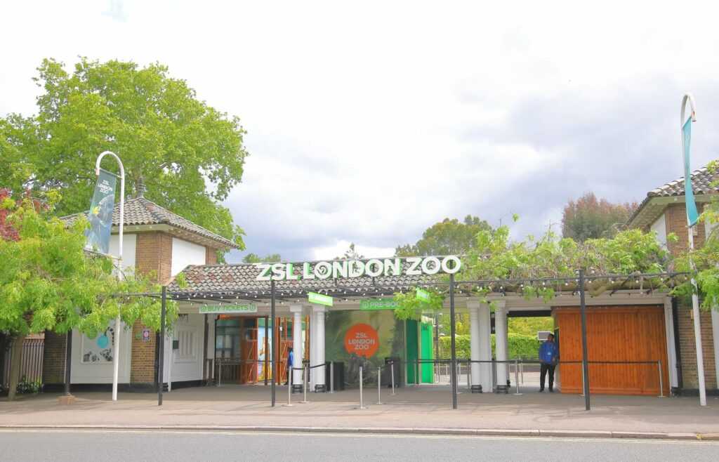 גן החיות של לונדון - כרטיסים, עקיפת תורים, הנחות ועוד!